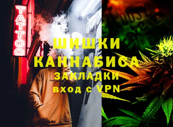 прущие грибы Алексин