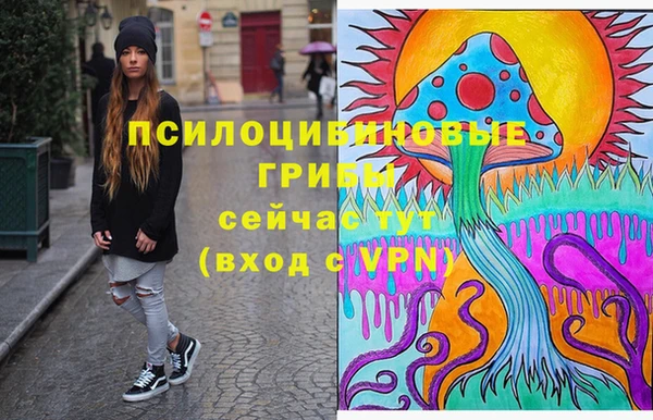 ГАЛЛЮЦИНОГЕННЫЕ ГРИБЫ Алексеевка