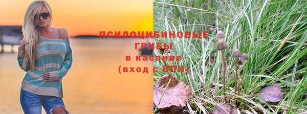 прущие грибы Алексин