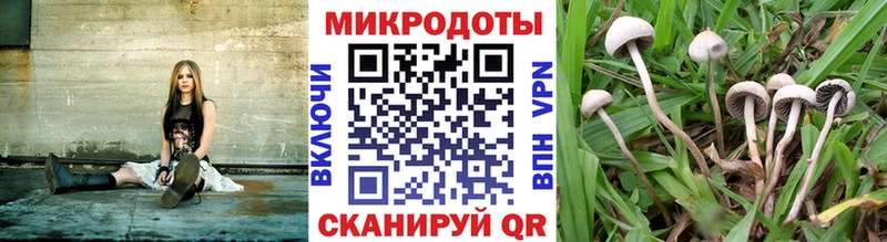 Псилоцибиновые грибы Magic Shrooms  KRAKEN ТОР  Калининград  купить наркотики цена 