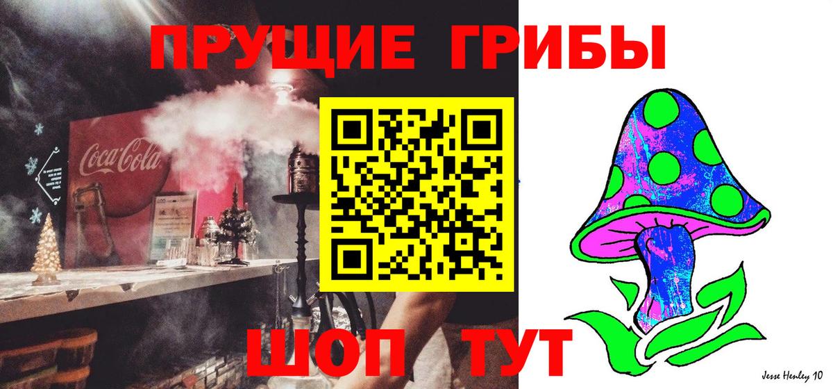 Псилоцибиновые грибы прущие грибы  Вход с VPN  Калининград 
