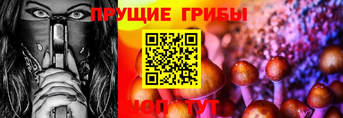 Галлюциногенные грибы прущие грибы Калининград