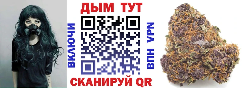 MEGA как зайти  Калининград  Бошки Шишки ГИДРОПОН  где продают  